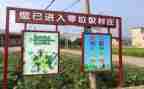幼儿园捡垃圾主题活动方案7篇