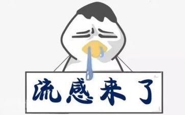 流感的教案6篇