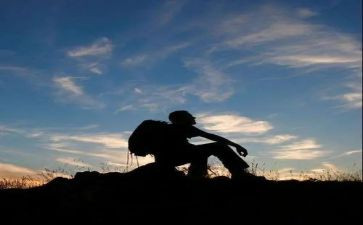 喂流浪猫心得推荐6篇