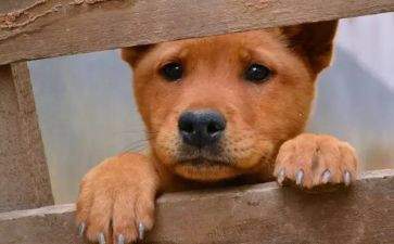 流浪地球,读后感优秀6篇