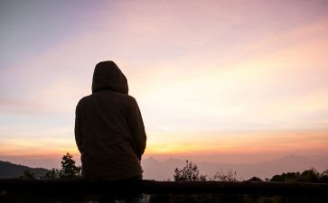 喂流浪猫心得参考5篇