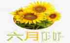 小小班六月份工作计划6篇