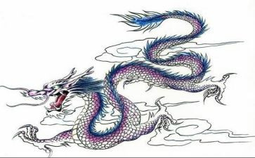 划龙舟作文300字作文6篇