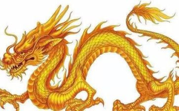 划龙舟作文5篇