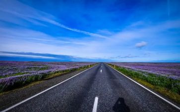 村道路维修合同8篇