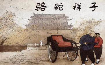 写骆驼的作文通用7篇