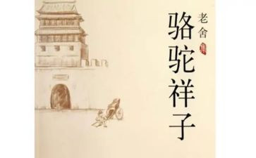 骑骆驼作文6篇