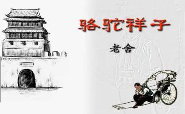 写骆驼的作文精选6篇