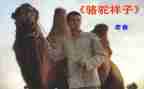 骆驼祥子读书笔记作文800字5篇