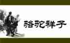 写骆驼的作文最新7篇