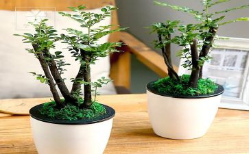 绿色低碳出行活动总结模板5篇