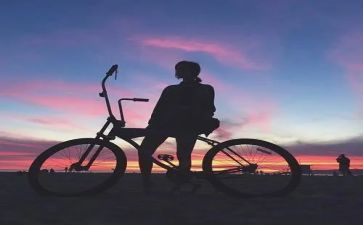 旅行鸽作文最新6篇