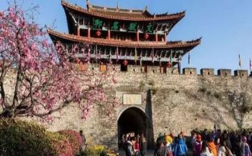 旅游业调研报告8篇