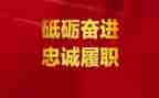 2024履职工作总结优质8篇