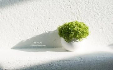 以慢为话题作文800字5篇