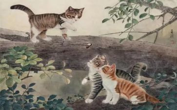 穿靴子的猫语言教案5篇