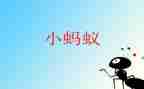 蚂蚁的窝作文最新6篇