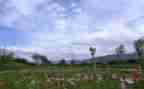 作文美景600字最新5篇