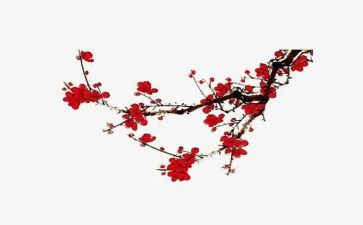 作文梅花作文参考5篇