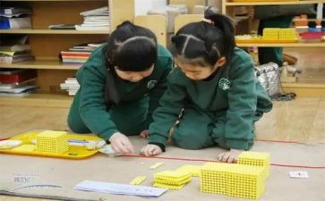 幼儿蒙氏工作计划最新8篇