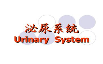 泌尿外科护士工作总结6篇