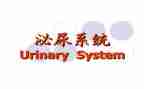 泌尿外科护士工作总结6篇