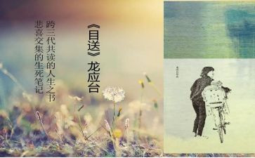 龙应台的目送的读后感精选7篇