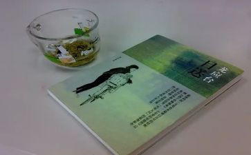 龙应台的目送的读后感6篇