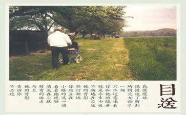 龙应台的《目送》读后感通用5篇
