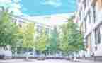 回小学母校作文通用6篇