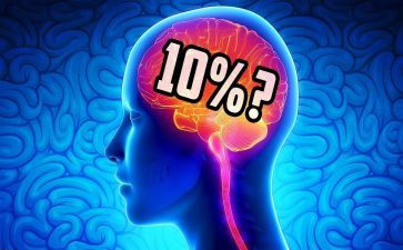 我的电脑作文500字8篇