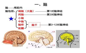 电脑设备采购合同7篇