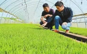 农技培训总结8篇