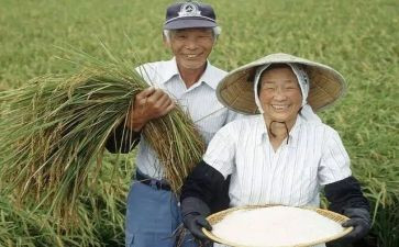 农民房合同推荐8篇
