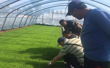 助理农艺师工作总结5篇