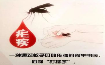 2024全国疟疾日宣传活动总结7篇