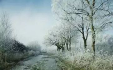 盼下雪的作文参考5篇