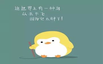大班胖和瘦教案优秀7篇