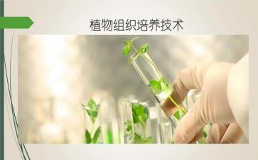 三向培养工作计划范文8篇