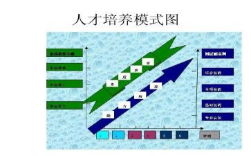 培养自理能力的教案6篇