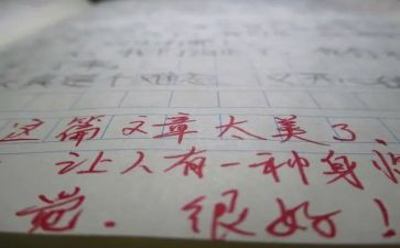 有评语的优秀作文6篇