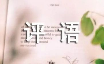 评语/心得6篇