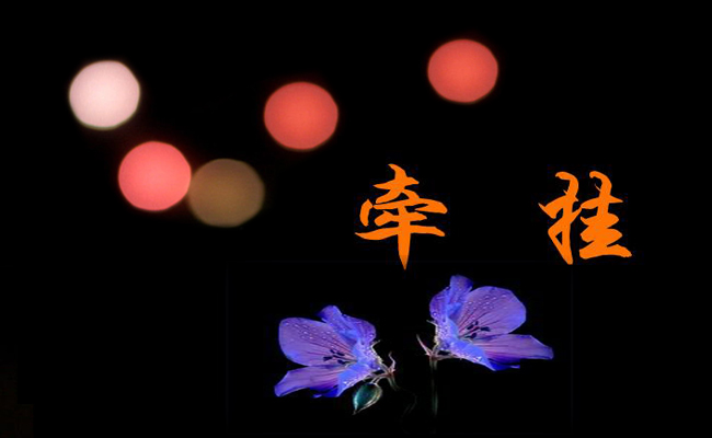 牵挂作文600字8篇