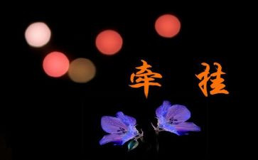有关牵挂作文6篇