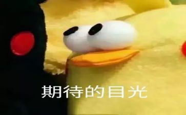我期待()作文6篇