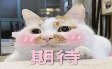军训的期待作文模板8篇