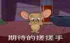 我期待__作文模板5篇