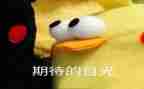我期待()作文6篇