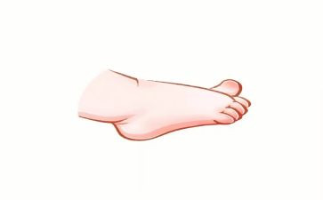 踮起脚尖儿作文800字7篇