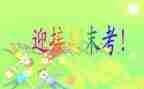 幼儿园个人期末工作总结优秀8篇